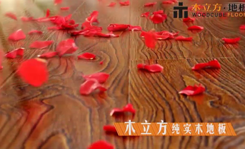 ľ�����ؽ�y����ҕƽ�_(t��i) �_չ��һ݆�ďV��չ��