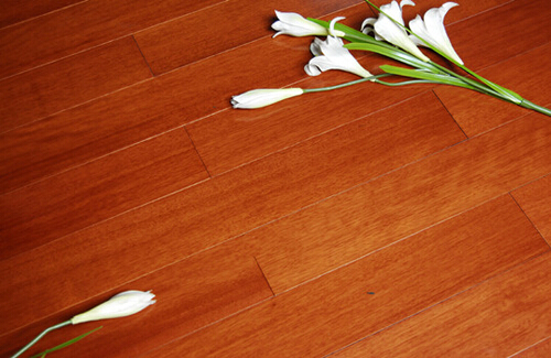 ��ͥ�b��������m��ľ�ذ���˽�N��_ʼ