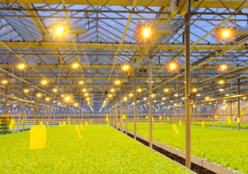 �r�I(y��)�����Ј������_ �򌢴��M�����I(y��)����l(f��)չ