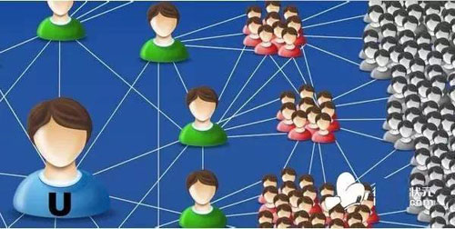 ���㡰΢�I(l��ng)�� С�����I(y��)���Ҝ�(zh��n)����