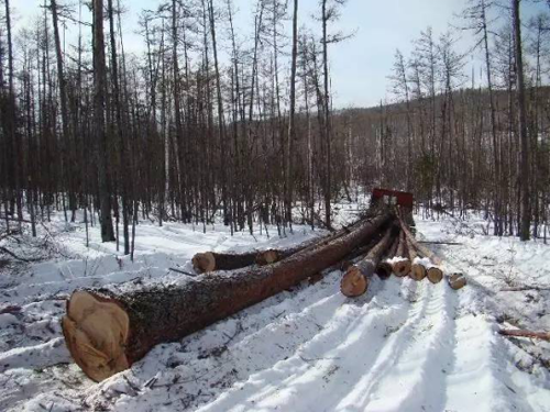 �������_Ʒ�ơ���ɼľ��ģ���ȻľԴ������֮��