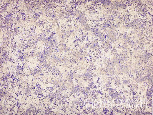 �\Մ���҇�(gu��)ˇ�g(sh��)Ϳ���ИI(y��)���ЏV韵��Ј�(ch��ng)����