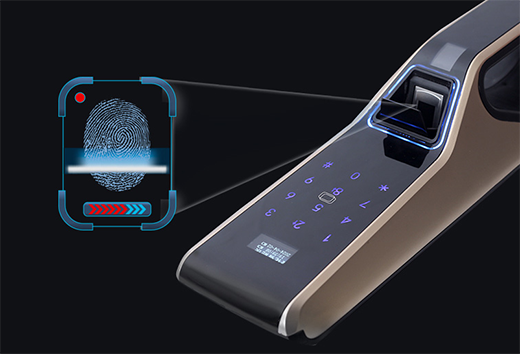 ʮ�������iƷ�ƣ���(sh��)����(y��u)�㣬�����ھ�(xi��n)