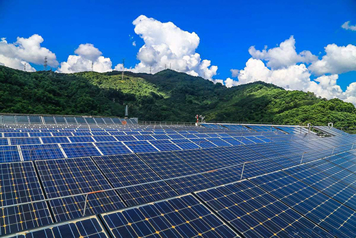 2020�����l(f��)��b�C(j��)Ŀ��(bi��o)���{(di��o)��1100�f(w��n)ǧ��