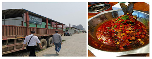 ��(x��)�꼊��ϴ�������y���S�~�t����