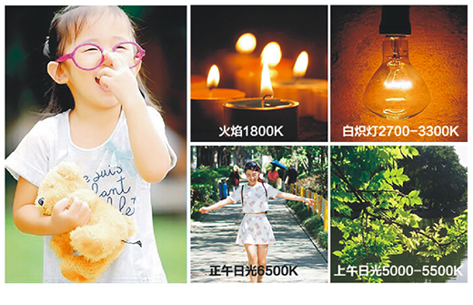 ������x�������m�Ŀ͏d��?Ⱥ���������o����ܰ��ʾ