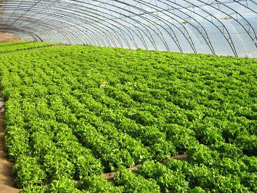 �߲˻����Q��ӛ�����Ї����g(sh��)׌�ϓ��׶����^(q��)�r(n��ng)������˜\