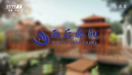 ����ꖽ��ď�(qi��ng)��(sh��)�����ҕ ���fꖹ�������