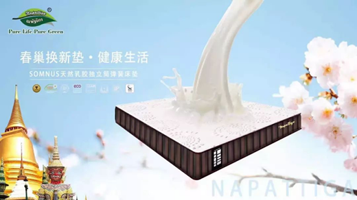 �����ٿ��Ƴ�Napattiga��(d��)��Ͳ���z���|