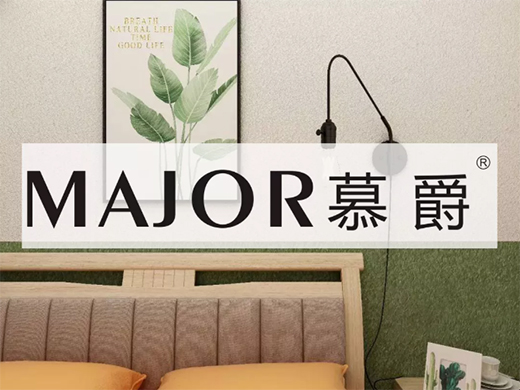 ���Ї�����ˇ�g(sh��)Ϳ��Ʒ�ơ�Ľ�� ׌�������㲻����������