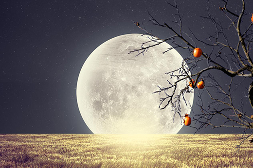 Ľ̩MUTAI�i�ߣ����iס���r(sh��)�g