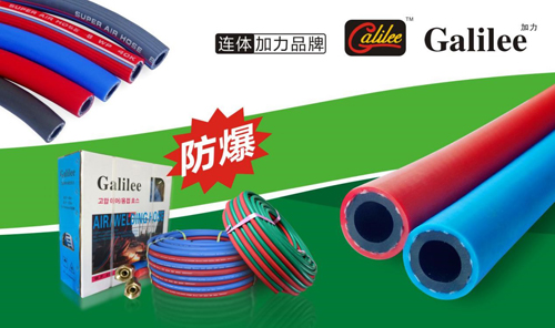 ���ĸ�����͹�@ �|��ܘI(y��)Ʒ��DNA��λ�ИI(y��)�߶�