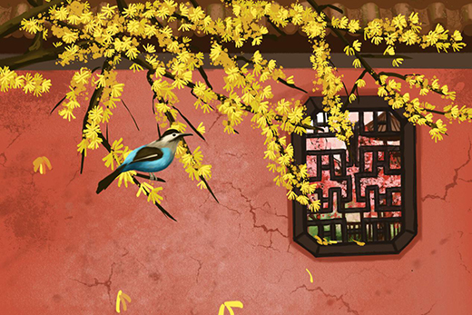 ������ӭ���� �لP���̷ҷ����f��