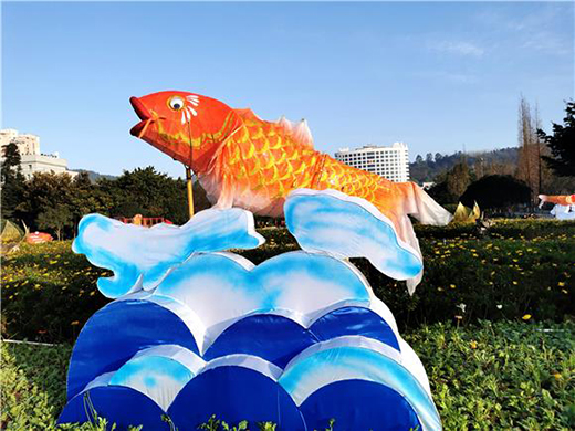 ���㡰���~(y��)�S���T(m��n)����I(y��ng)�����(m��ng)�ƻ��´���ɫ