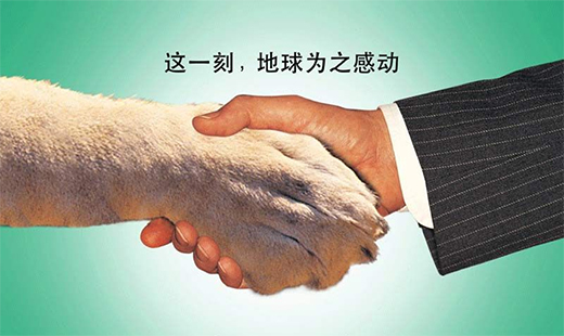 �s���_�N�l(w��i)������ܽ^Ұζ �I�B(y��ng)��ʳ�������g��ζ