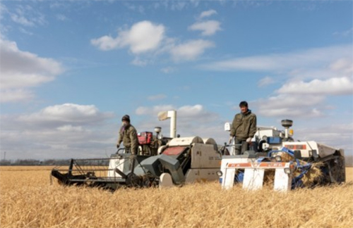 ����ϓP(y��ng)!2�·��K��ƴُӆ�������L866%