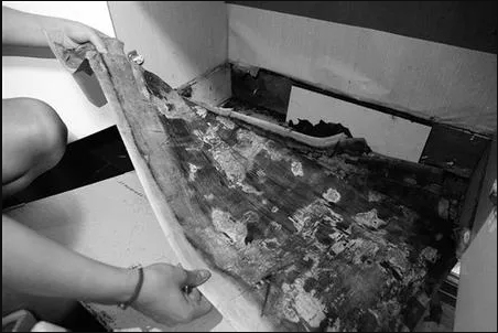 Ӳ�˶��� | �����Ҿӑ�(zh��n)������ ����լ ������!