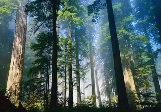 Ī��ɽ��ģ�׌�x��׃�ú���