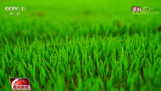 ��(qu��n)����(sh��)��(j��)���V�� �҂�?y��u)�ʲô���öڼZ