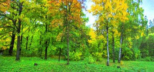 3G��ˮ����Ʒ ׌�������ļ��紺����ԡ