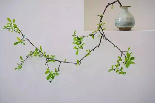 ���ϊW��ī퍡�����ʽ�����_�����{ʲô�ɞ����Юa(ch��n)����