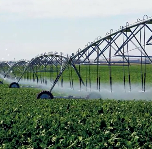 �P�ӹܘI(y��)���ֽ����h(hu��n)���a(ch��n)�I(y��) �c���B(t��i)�����R������δ��