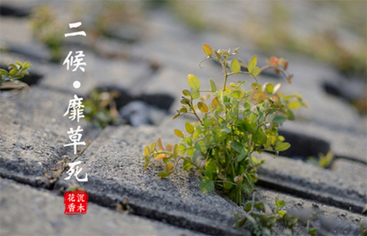 �A��(d��ng)���|24��(ji��)�����������ϲ�g�Ġ�B(t��i)��С�M���A�M!