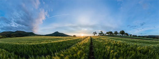 ͬ��՚��ܣ�С��ӯ�M�����ښgϲ