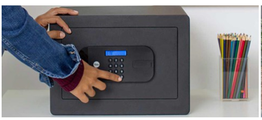 ���I(l��ng)������Ү���Ҿ��������B(t��i)ϵ�y(t��ng)Yale Access���o(h��)�ӼҰ�ȫ