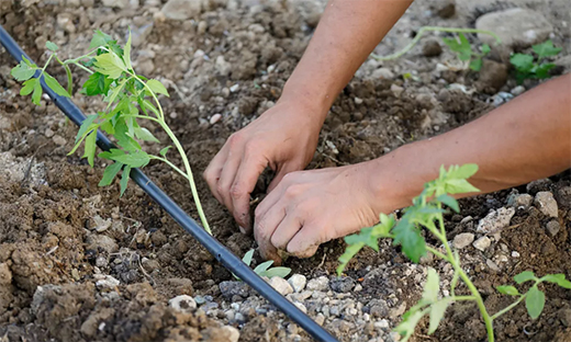 �x�_(d��)�ܘI(y��)��â�N�����������������S������æ