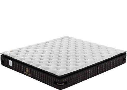 OMSALOO ���|���������m�������x