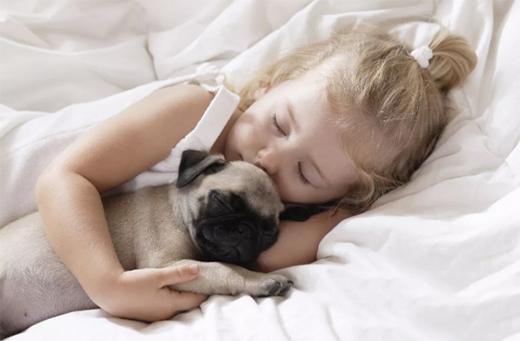 껌� | �ô��|��(du��)��(y��u)�|(zh��)˯���ж���Ҫ