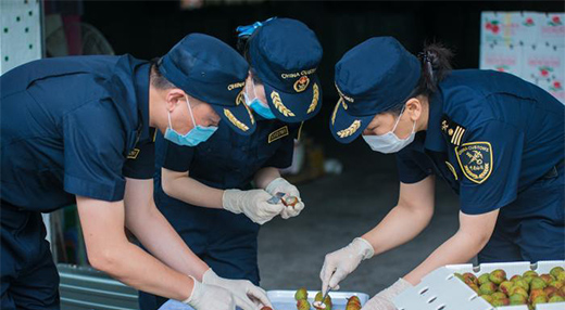 �V�|�ϰ������Q��ֵ3.06�f�|Ԫ �������Y������1.7��