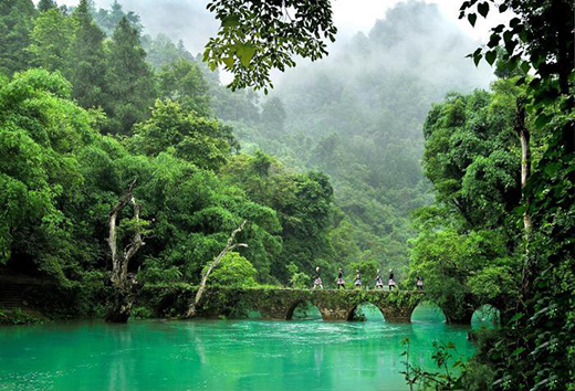 �F��A�����^(q��)8����Y(ji��)�����TƱ �֏�(f��)�TƱ5�ۃ�(y��u)��