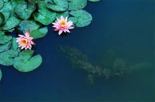 ��(qu��n)�_(d��)ˮ����� | ��ȥ���(l��i)����Ҋ(ji��n)���������ʵ�����