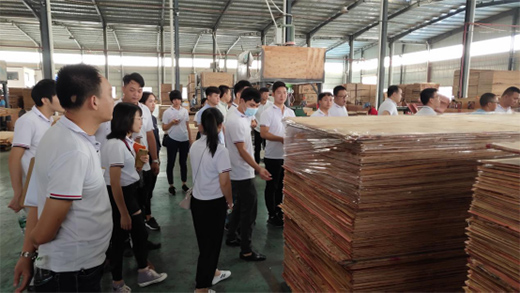 �����ٰl(f��)չ �����M���T��ǰ���V�����a(ch��n)���،W���{(di��o)��