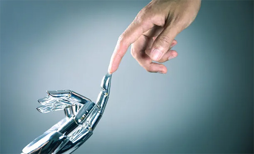 ������(BERNI)������ľ�����չ��δ��(l��i)