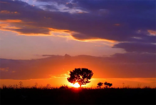 �����Xȫ�X�ҾӪ�(d��)���������ʽ��(y��u)��