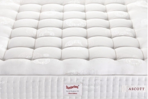 �A�����Ĳ� ˹�ְ��m���|�����ע��˯���_ʼ