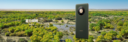 �A��Mate40ϵ����Ʒ�l(f��)��ʢ�������@Щ���c(di��n)��ע�⵽�ˆ�?