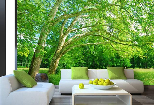 �����B(t��i)�Ҿӡ��r(sh��)������(l��i)�����B(t��i)��(sh��)ľ�T���I(l��ng)δ��(l��i)����