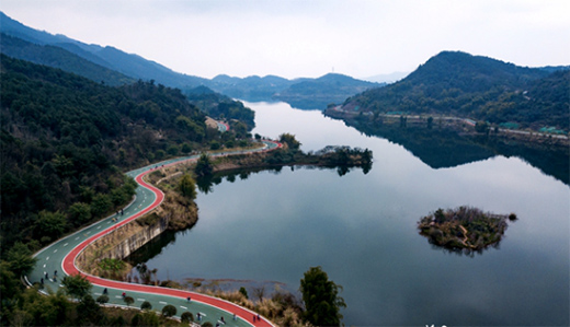 �h(yu��n)���w���������R����ِ�����������˭h(hu��n)�����z�ܵ�