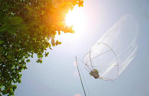 �������Ђ�ꖹⷿ��һ����һ�K��һ��ꖹ���͵�ø��������e