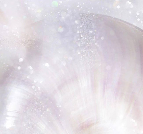 ѩ����ح������s����ğ��ס��y�����ѵǈ�