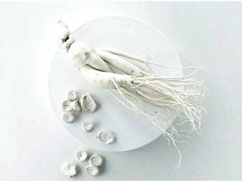 ѩ����ح������s����ğ��ס��y�����ѵǈ�