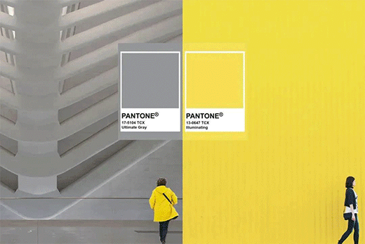 �W�_��ˇ�g(sh��)Ϳ�ϣ�2021피�(j��)�����������S