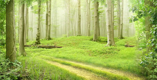 �����\��Ӌ�� ASHER���O�w������һ��֮��