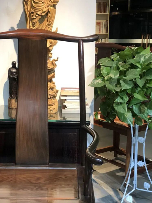 ���tľ�Ҿ����������_ʼ