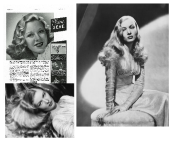 ����Ʒ��FORVIL��ɯɭ�֣����I(l��ng)���o�wʽ�o�l(f��)���³���