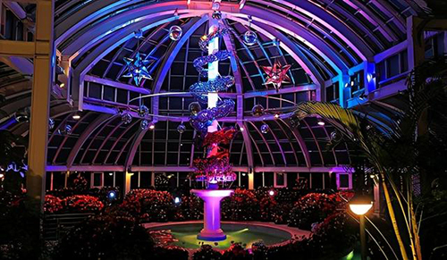 ��˹�Ǳ�����֮����(gu��)�����ռ��䣬�ß����c���ӭ������